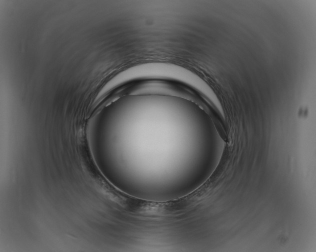 X0000090760084200708031640