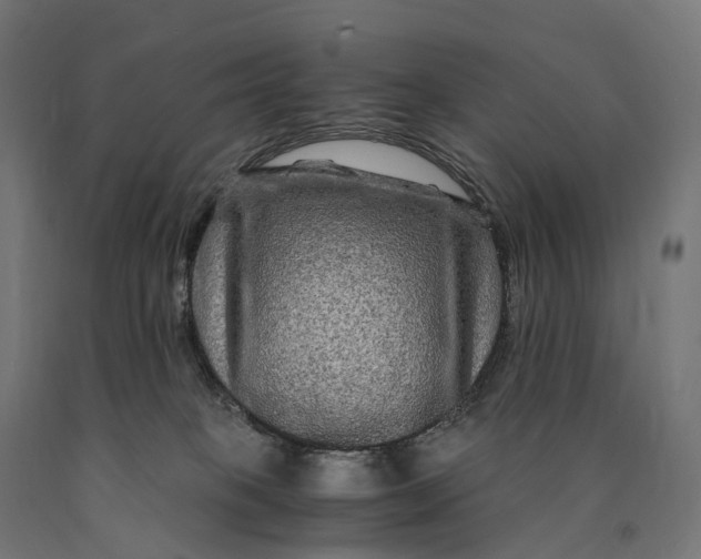 X0000090760085200708031640