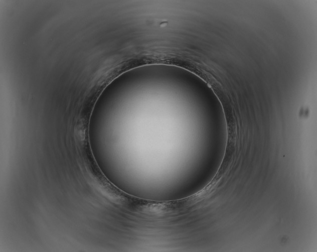 X0000090760086200708031640