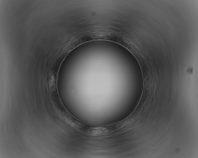 X0000090760087200708031640