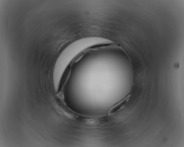 X0000090760088200708031640