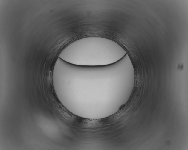 X0000090760093200708031640