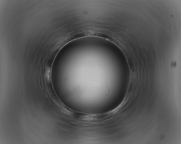 X0000090760094200708031640