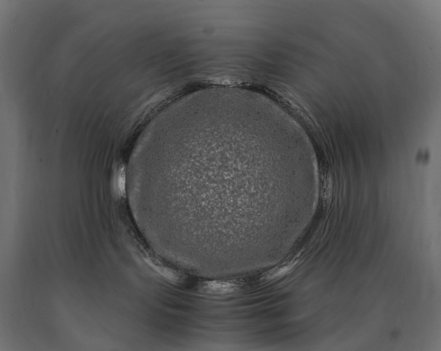 X0000090760095200708031640