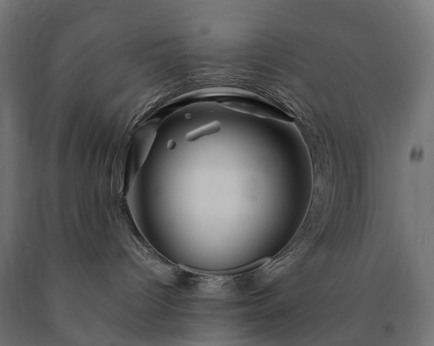 X0000090760096200708031640