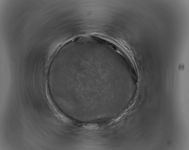 X0000090760097200708031639