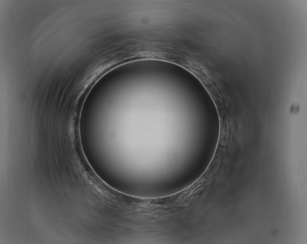 X0000090760098200708031639