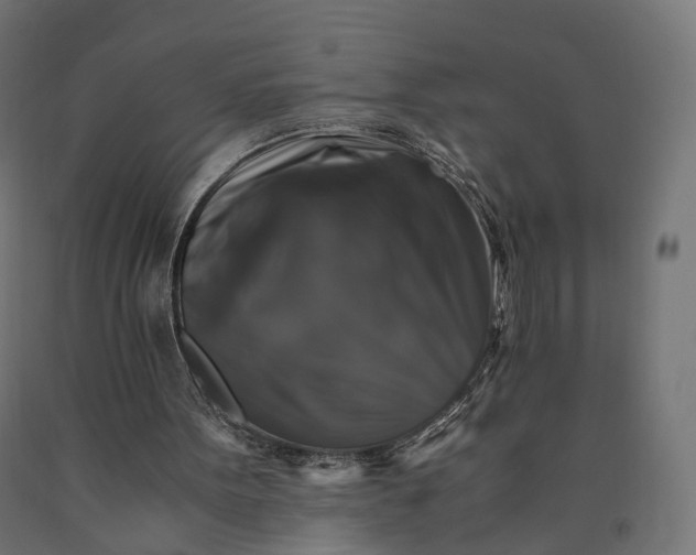 X0000090760099200708031639