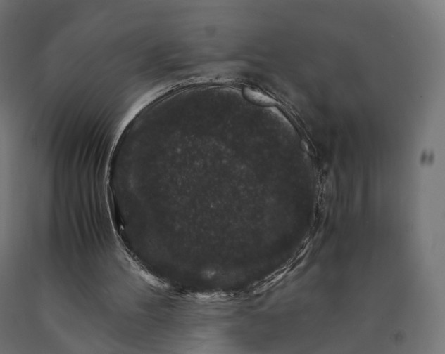 X0000090760100200708031639