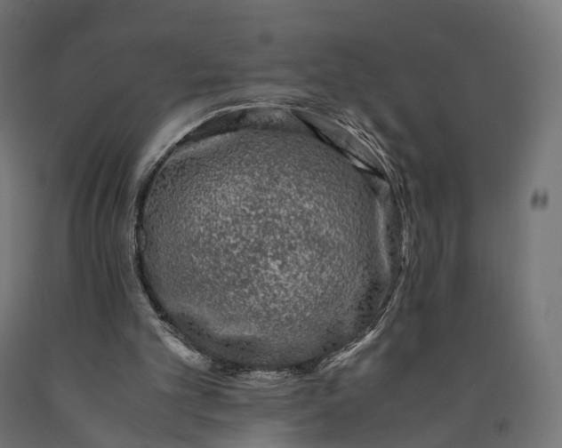 X0000090760101200708031639