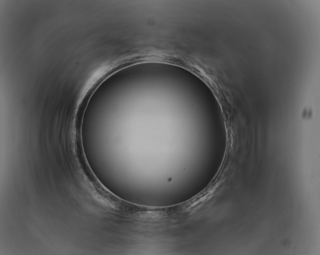 X0000090760102200708031639