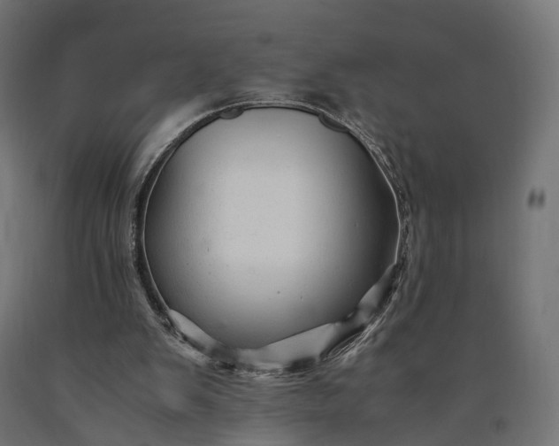 X0000090760103200708031639