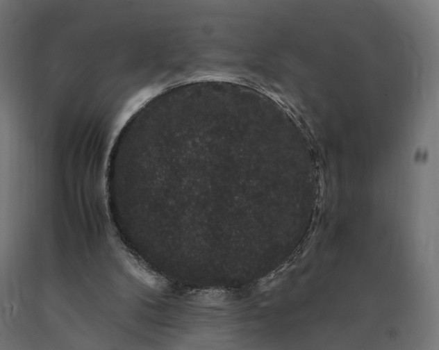 X0000090760104200708031639