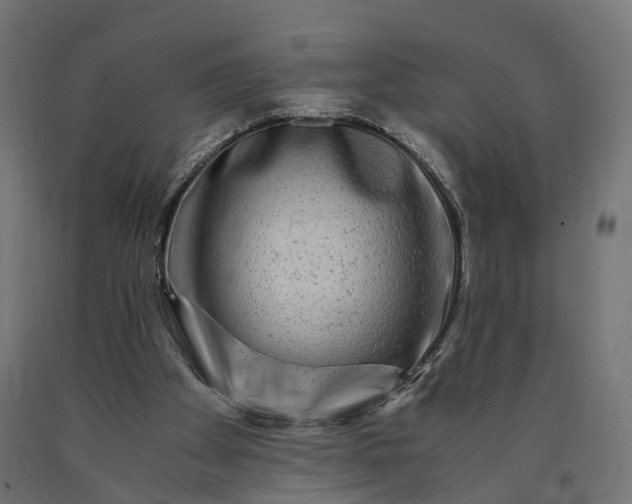 X0000090760105200708031639