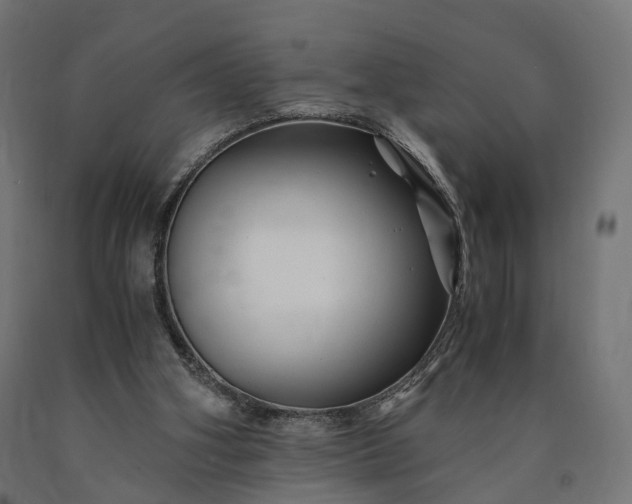 X0000090760106200708031639