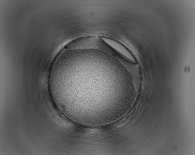 X0000090760107200708031639