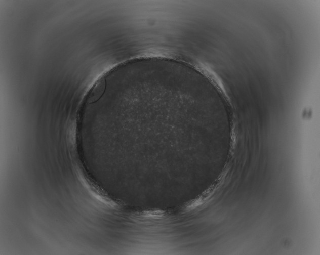 X0000090760108200708031639