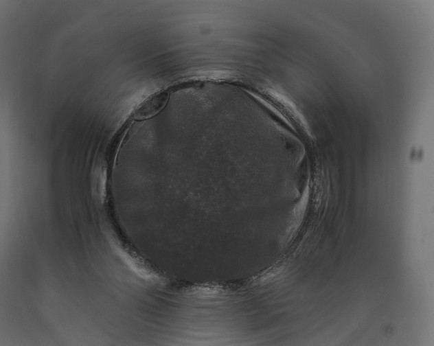 X0000090760110200708031639