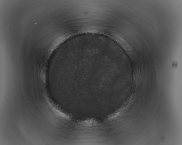 X0000090760112200708031639