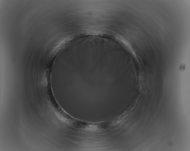 X0000090760114200708031639