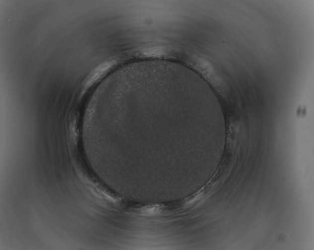 X0000090760116200708031639