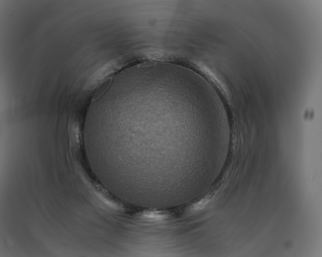 X0000090760117200708031639