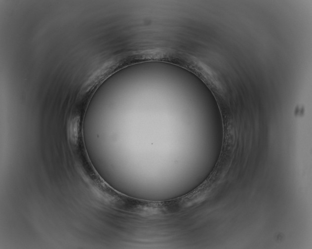 X0000090760118200708031639