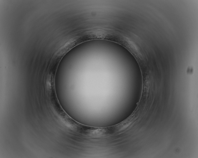 X0000090760122200708031639