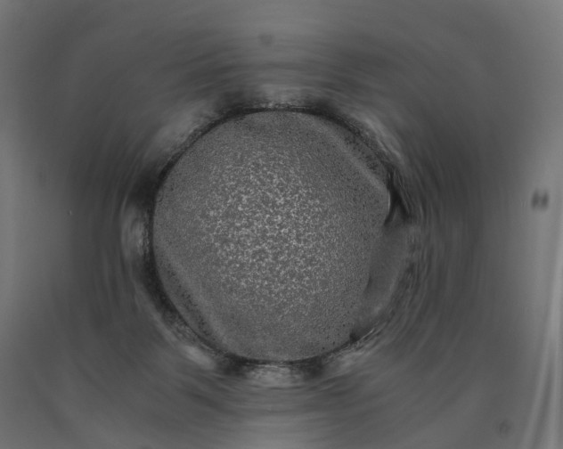 X0000090760123200708031639