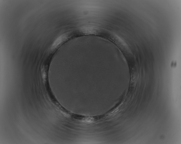 X0000090760124200708031639