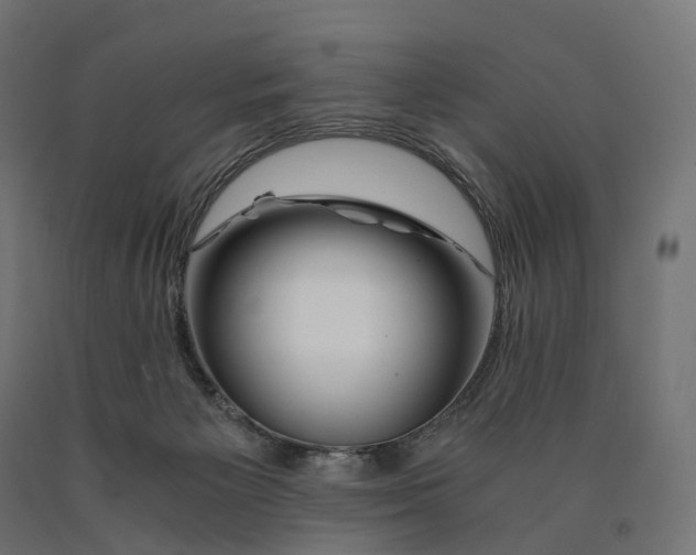 X0000090760125200708031639