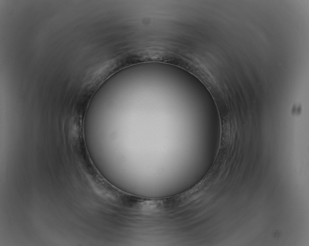 X0000090760126200708031639