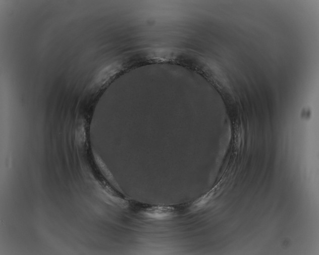 X0000090760128200708031639