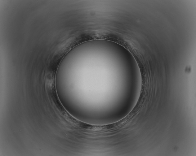 X0000090760129200708031639