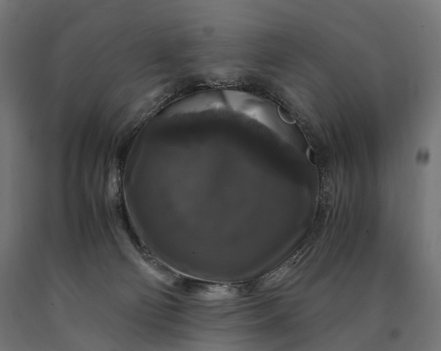 X0000090760130200708031639