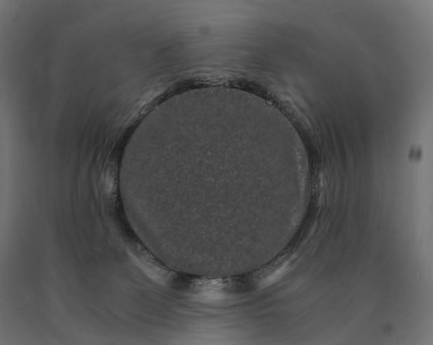 X0000090760131200708031639