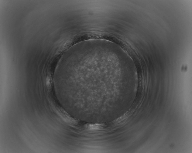 X0000090760134200708031639