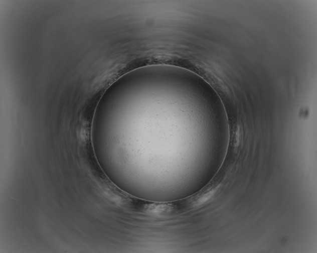 X0000090760135200708031639