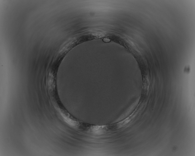 X0000090760136200708031639