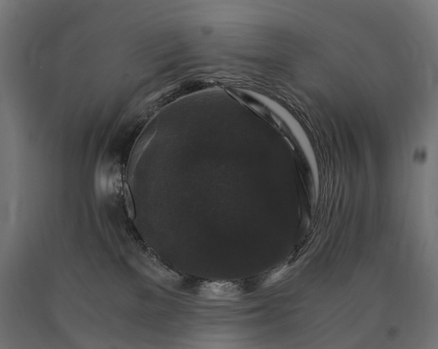 X0000090760137200708031638