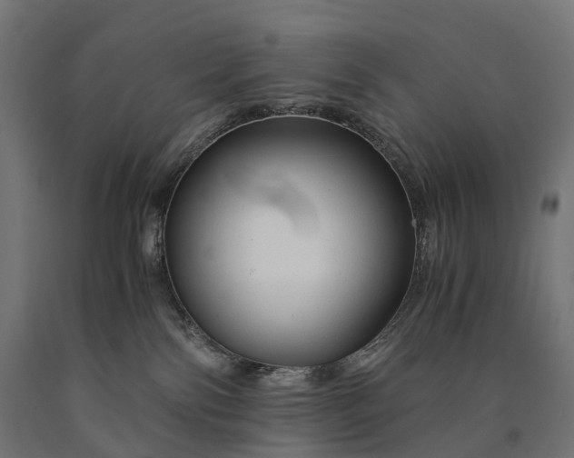 X0000090760138200708031638