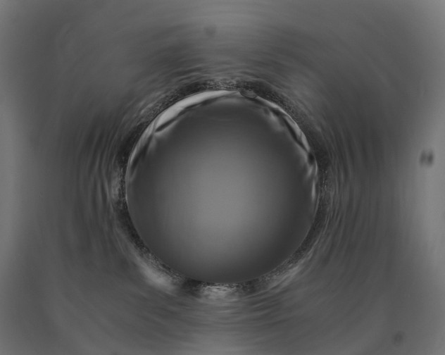 X0000090760139200708031638