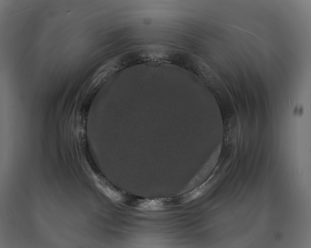 X0000090760140200708031638