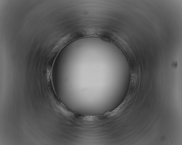 X0000090760142200708031638