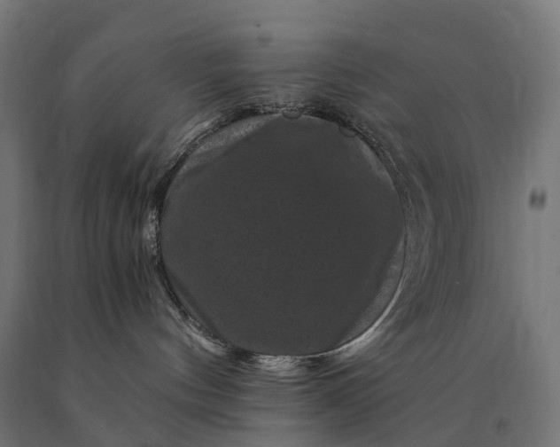 X0000090760144200708031638