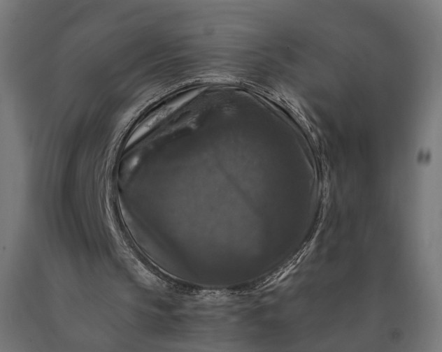 X0000090760145200708031638