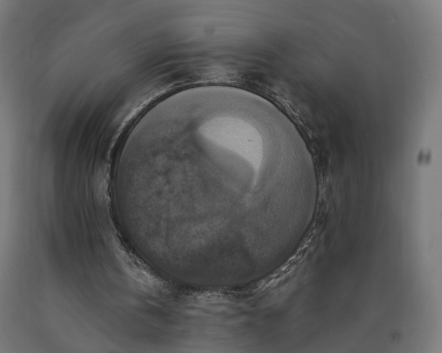 X0000090760146200708031638