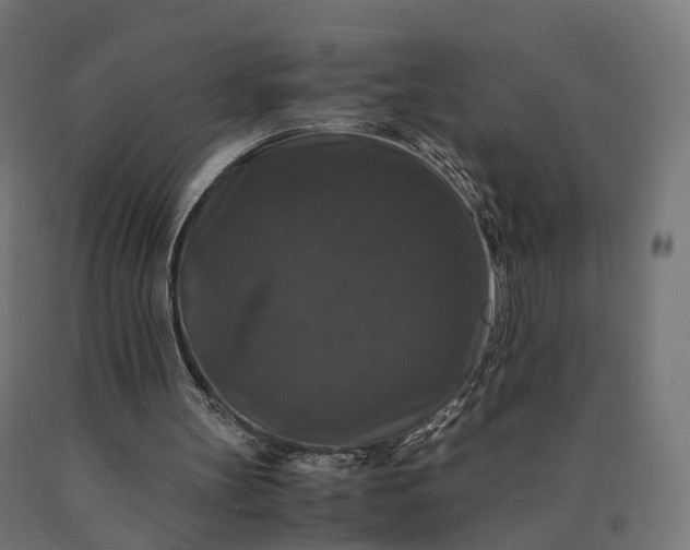 X0000090760147200708031638