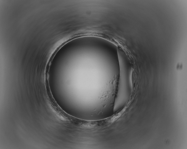 X0000090760148200708031638