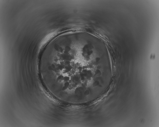 X0000090760149200708031638